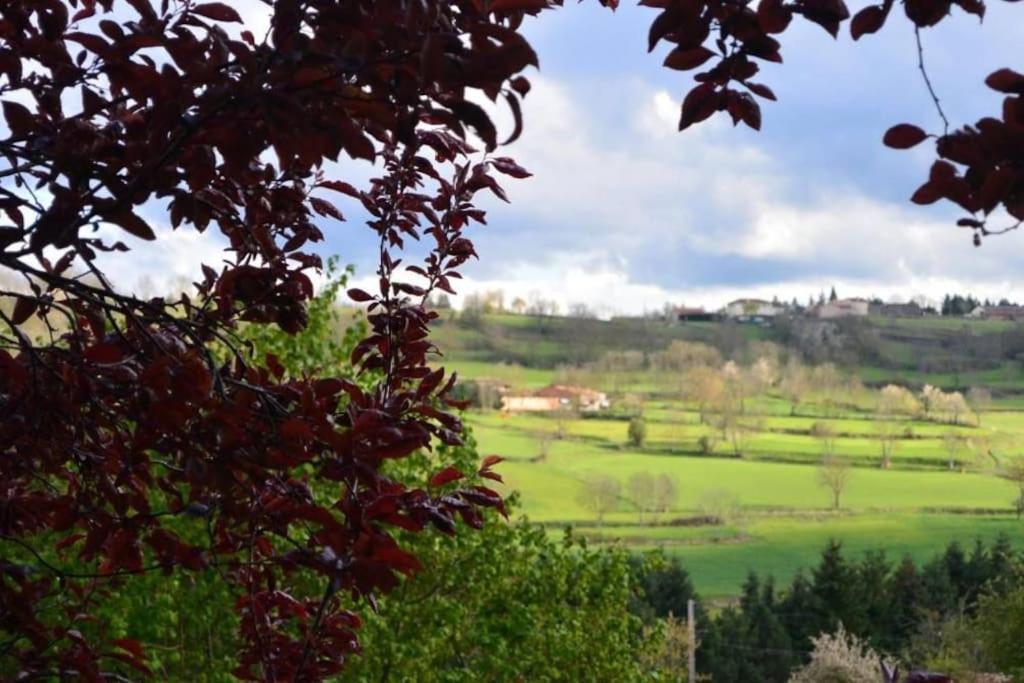 Casa Flo Villa Polignac  Bagian luar foto